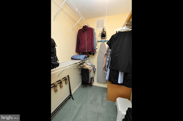 walk in closet with carpet flooring