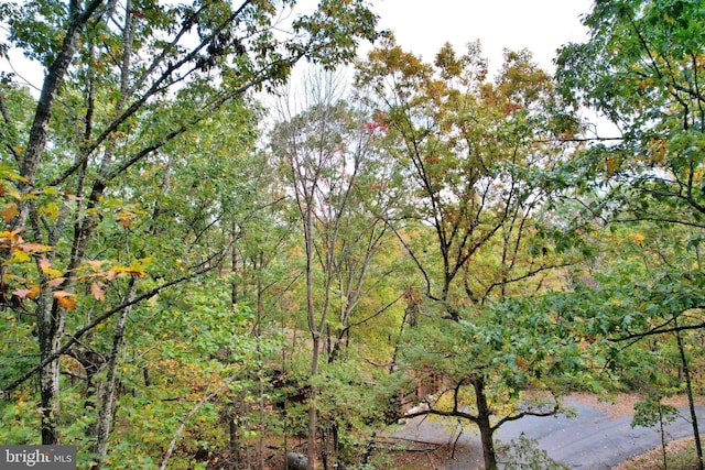 139 Laura Ct, Basye, VA 22810 - view of woods