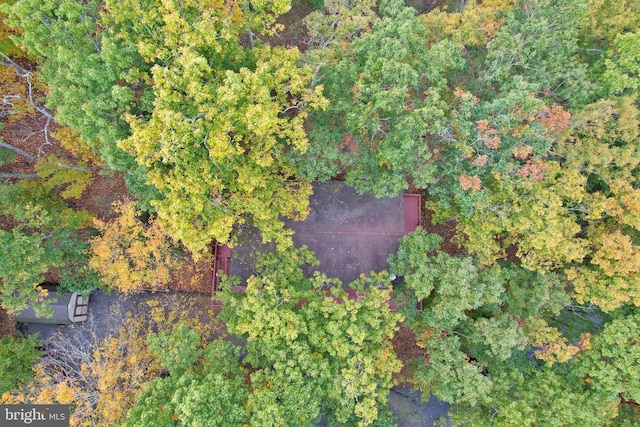 139 Laura Ct, Basye, VA 22810 - aerial overview of property's location