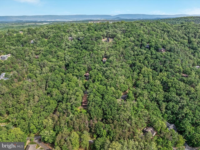 139 Laura Ct, Basye, VA 22810 - aerial view of property's location featuring a forest