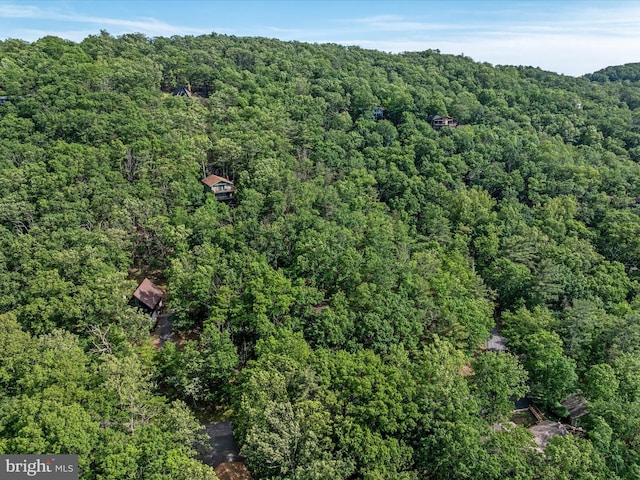 139 Laura Ct, Basye, VA 22810 - aerial overview of property's location featuring a forest