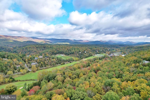 139 Laura Ct, Basye, VA 22810 - view of mountain background featuring a forest