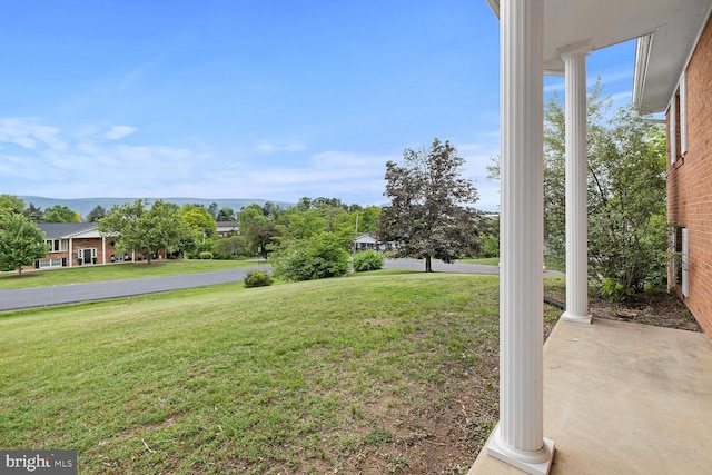 320 Dawn Ave, Woodstock, VA 22664 - view of green lawn