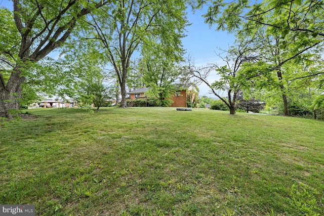 320 Dawn Ave, Woodstock, VA 22664 - view of green lawn