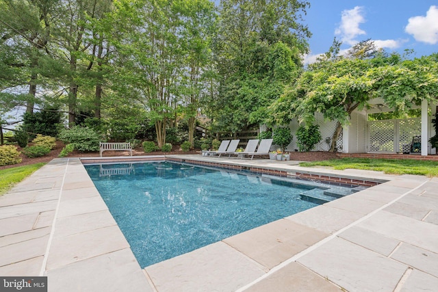 11013 Homeplace Ln, Potomac, MD 20854 - view of pool with a patio