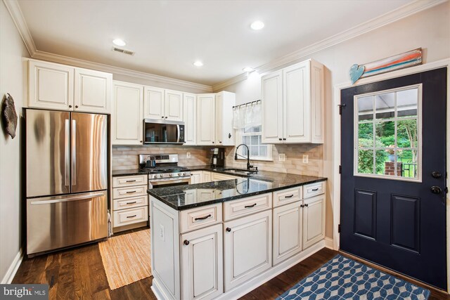kitchen featuring appliances with stainless steel finishes, a sink, a peninsula, dark wood finished floors, and decorative backsplash