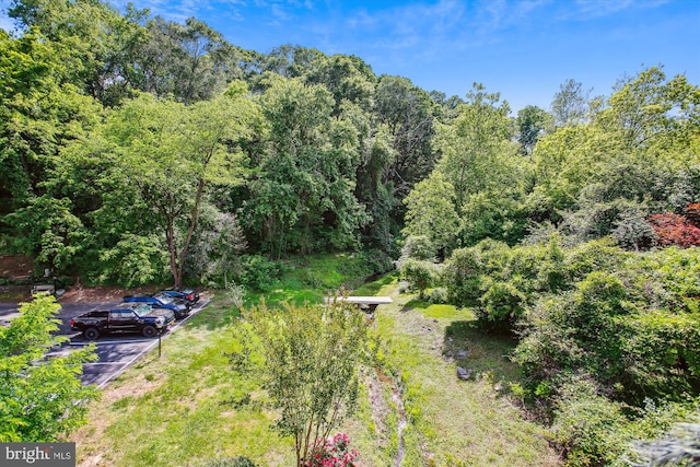 drone / aerial view of a forest
