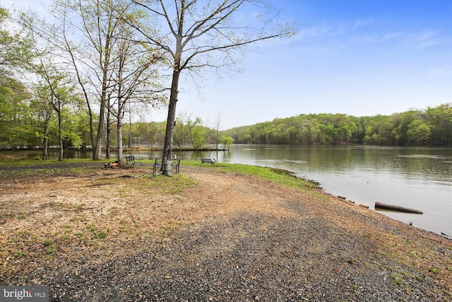 water view with a heavily wooded area
