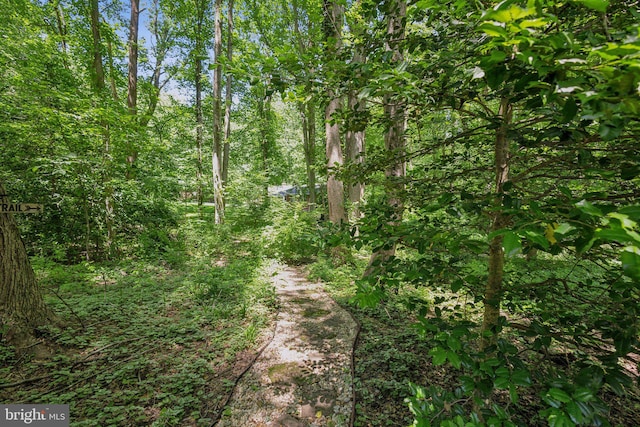 6813 Jeremiah Ct, Fairfax Station, VA 22039 - view of tree filled area