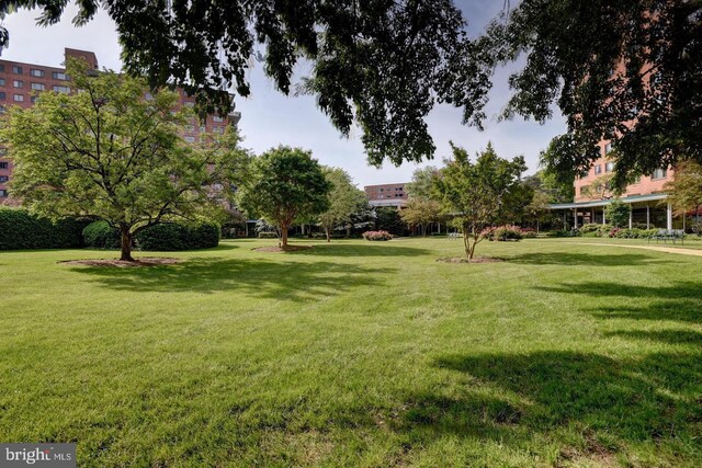 4201 Cathedral Ave NW Unit 415E, Washington, DC 20016 - view of green lawn