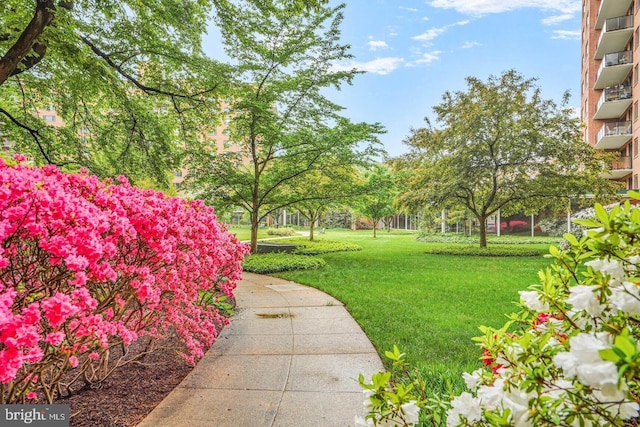 4201 Cathedral Ave NW Unit 415E, Washington, DC 20016 - view of home's community with a yard