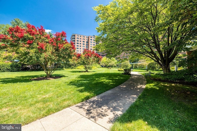 4201 Cathedral Ave NW Unit 415E, Washington, DC 20016 - surrounding community with a lawn