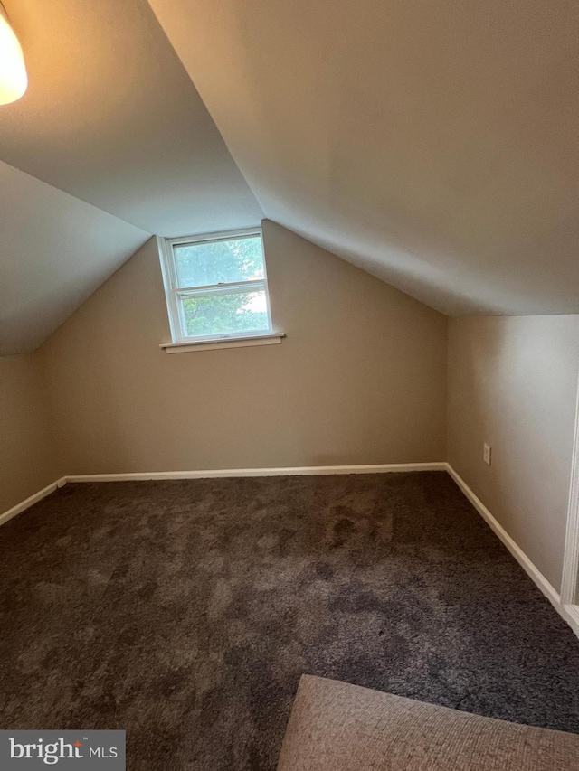 41 N Clinton Ave, Maple Shade, NJ 08052 - bonus room with carpet flooring and vaulted ceiling