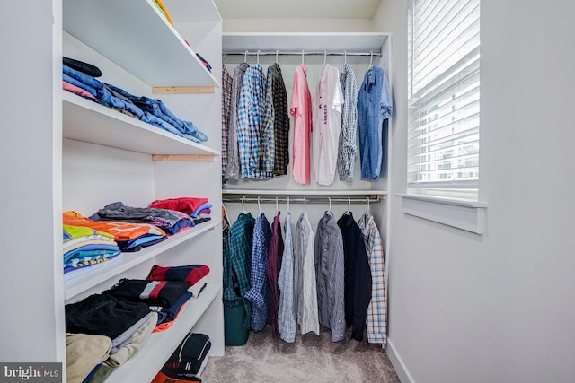 4801 Railway Cir, Monrovia, MD 21770 - walk in closet with carpet