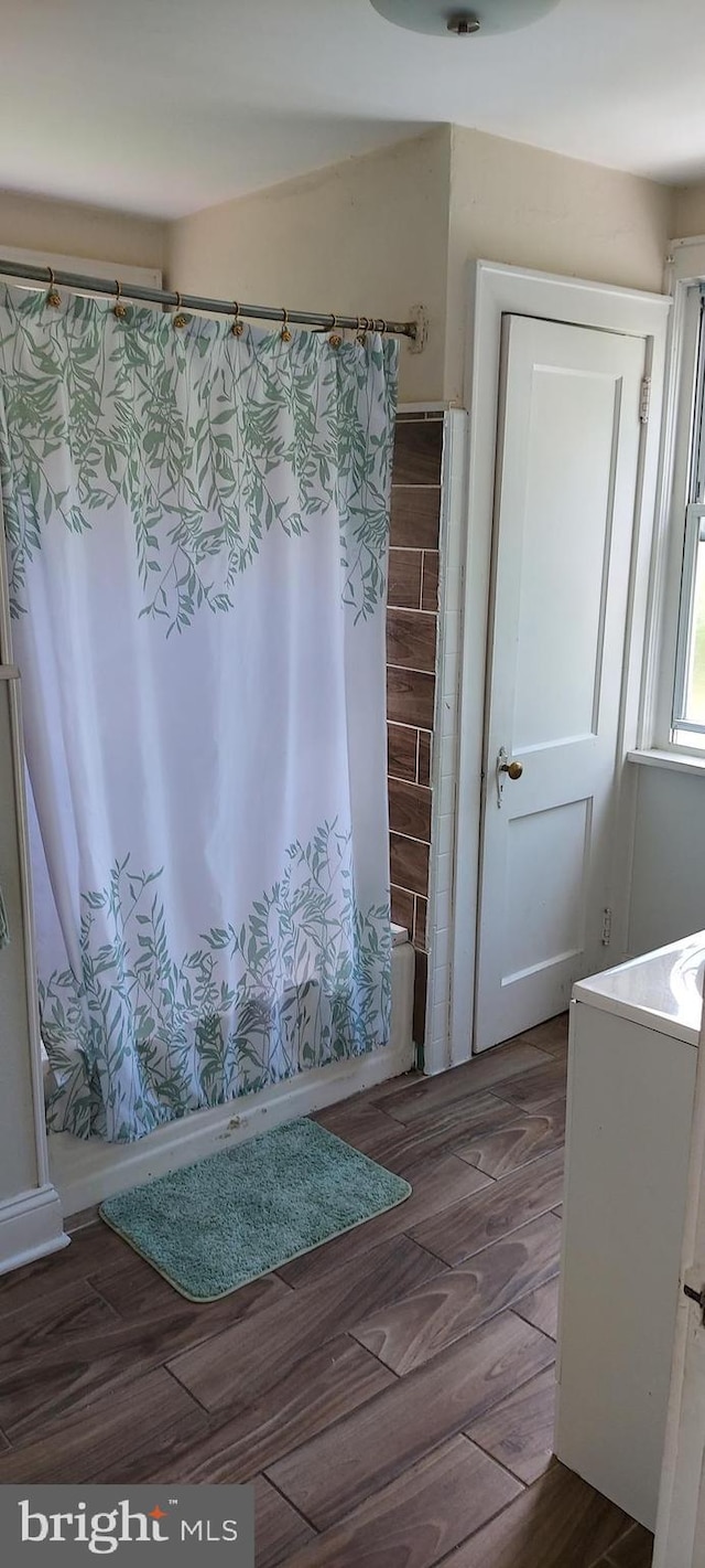 bathroom featuring wood finished floors and vanity