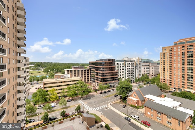 3800 Fairfax Dr Unit 1011, Arlington, VA 22203 - view of property featuring a city view