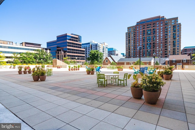 3800 Fairfax Dr Unit 1011, Arlington, VA 22203 - view of property's community with a city view