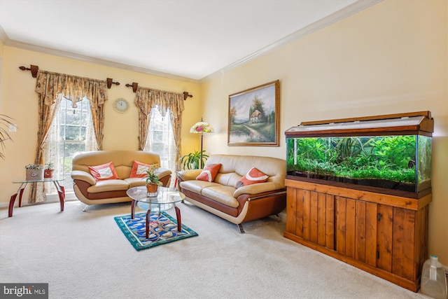 7229 Antares Dr, Gaithersburg, MD 20879 - carpeted living room featuring ornamental molding