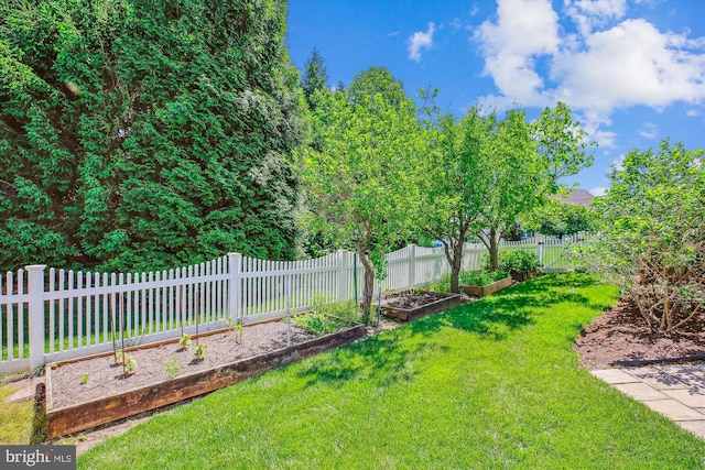 7229 Antares Dr, Gaithersburg, MD 20879 - view of yard featuring a garden