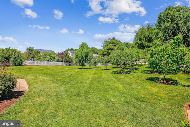 7229 Antares Dr, Gaithersburg, MD 20879 - view of yard