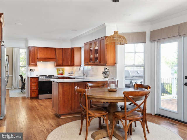 35513 Sourwood Pl, Round Hill, VA 20141 - kitchen featuring appliances with stainless steel finishes, a peninsula, a sink, light wood finished floors, and light countertops