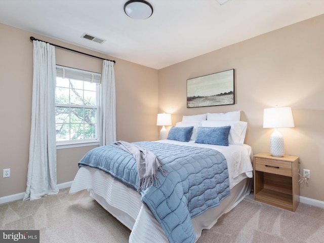 35513 Sourwood Pl, Round Hill, VA 20141 - carpeted bedroom with baseboards