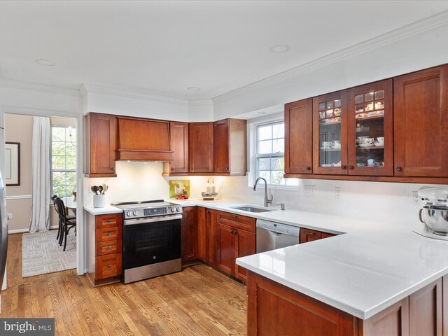35513 Sourwood Pl, Round Hill, VA 20141 - kitchen with stainless steel appliances, a sink, ornamental molding, light countertops, and premium range hood