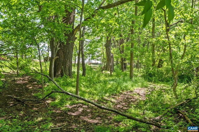 2010 White Bridge Rd, Waynesboro, VA 22980 - view of nature