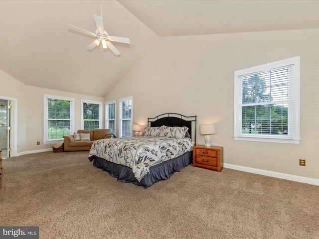 16013 Pheasant Ridge Ct, Woodbine, MD 21797 - bedroom with carpet, baseboards, and high vaulted ceiling