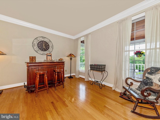 16013 Pheasant Ridge Ct, Woodbine, MD 21797 - living area with ornamental molding, light wood-type flooring, baseboards, and a dry bar