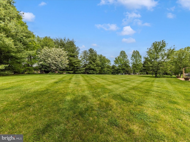 16013 Pheasant Ridge Ct, Woodbine, MD 21797 - view of grassy yard