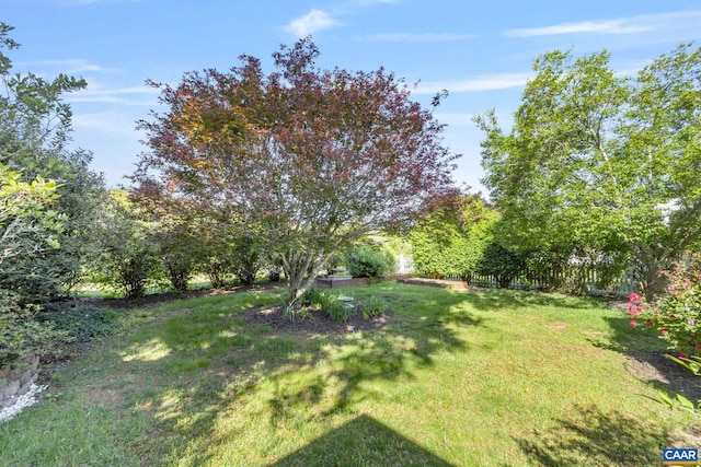 view of grassy yard