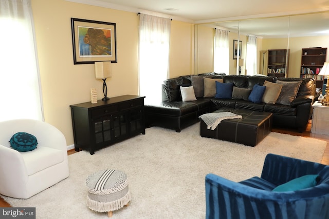 2616 Osage St, Hyattsville, MD 20783 - living area featuring ornamental molding