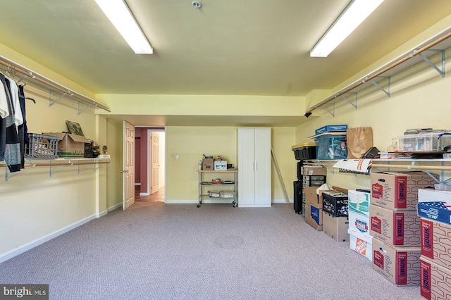 7419 Near Thicket Way, Laurel, MD 20707 - view of storage room