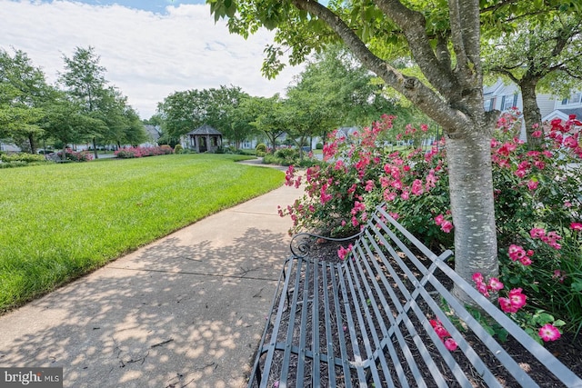 7419 Near Thicket Way, Laurel, MD 20707 - view of grassy yard
