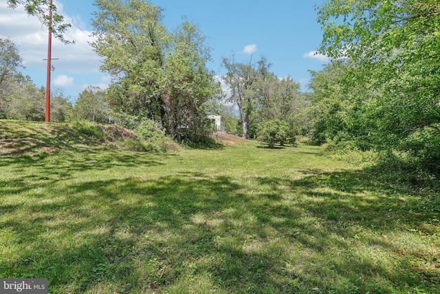 302 Fenwick Rd, Pilesgrove, NJ 08098 - view of green lawn