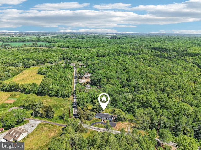 302 Fenwick Rd, Pilesgrove, NJ 08098 - aerial view of a forest