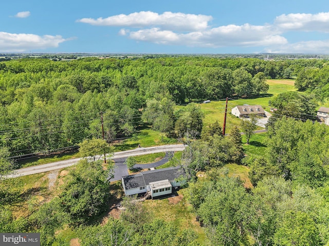 302 Fenwick Rd, Pilesgrove, NJ 08098 - view of subject property with a forest