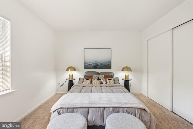 bedroom with carpet, baseboards, and multiple windows