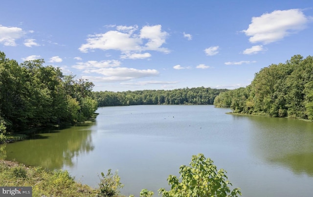 water view featuring a heavily wooded area