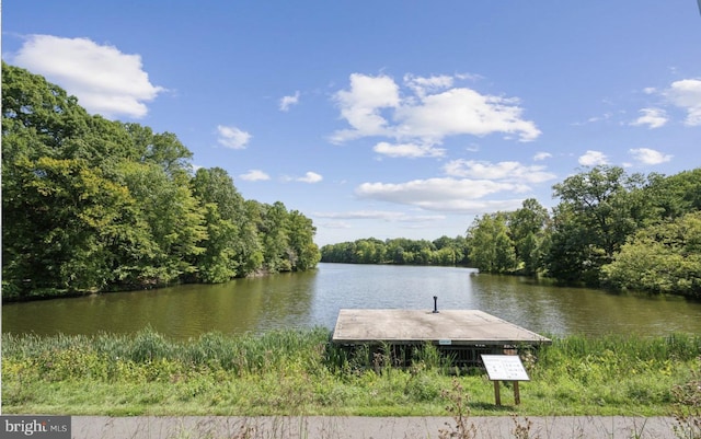 dock area with a water view and a forest view