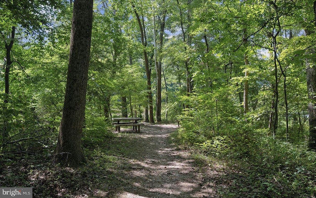 view of property's community featuring a forest view