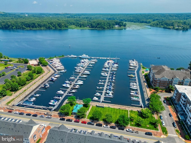 485 Harbor Side St Unit 405, Woodbridge, VA 22191 - drone / aerial view of numerous boat docks and a nearby body of water
