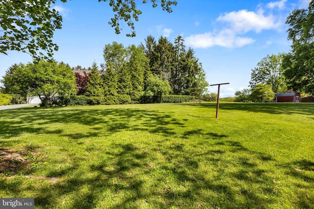 view of grassy yard