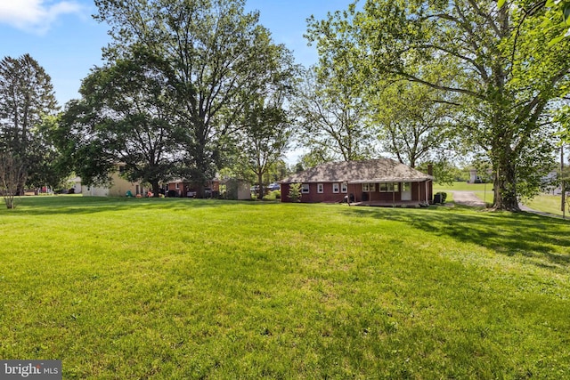view of green lawn