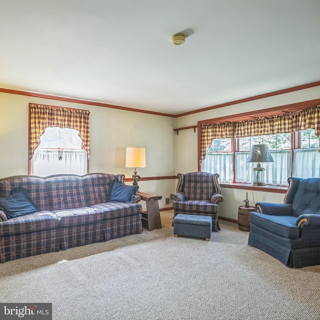 256 Crystal Ter, Haddonfield, NJ 08033 - living area with carpet flooring, ornamental molding, and baseboards