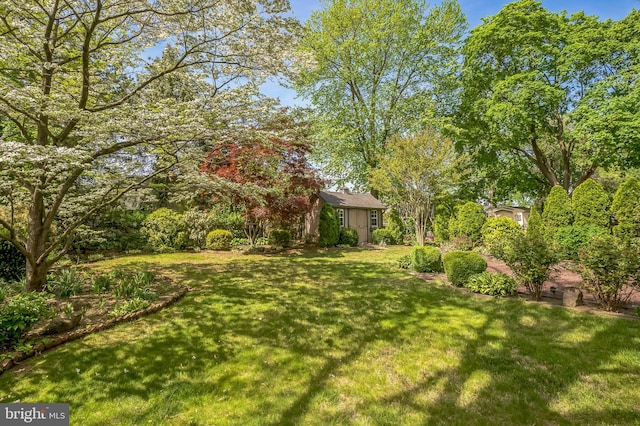 256 Crystal Ter, Haddonfield, NJ 08033 - view of grassy yard