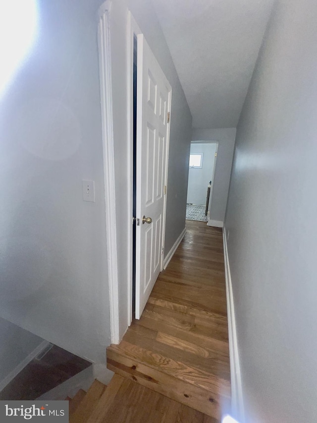 2136 E Tucker St, Philadelphia, PA 19125 - hall with wood finished floors and baseboards