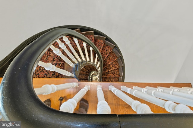 17 W Chase St, Baltimore, MD 21201 - detailed view