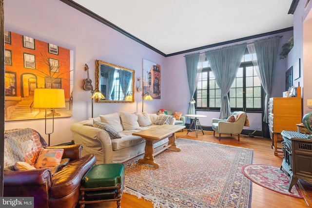 17 W Chase St, Baltimore, MD 21201 - living room featuring ornamental molding, wood finished floors, and a wood stove
